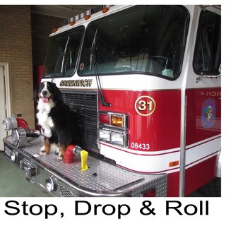 Front cover_Stop, Drop & Roll