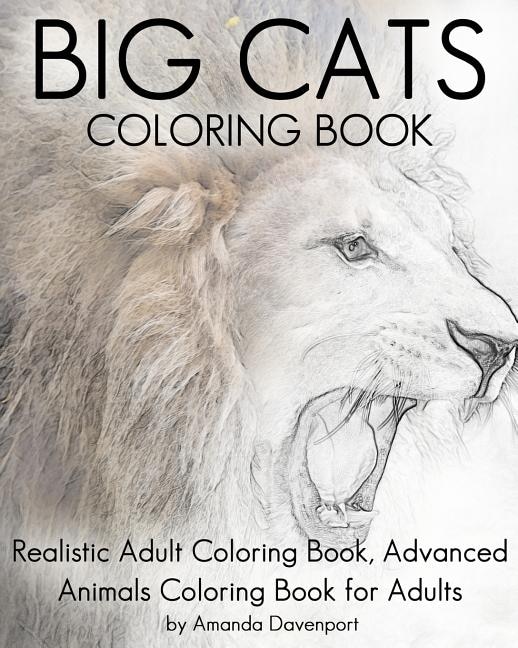 Front cover_Big Cats Coloring Book