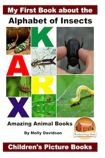 My First Book About The Alphabet Of Insects - Amazing Animal Books - Children's Picture Books