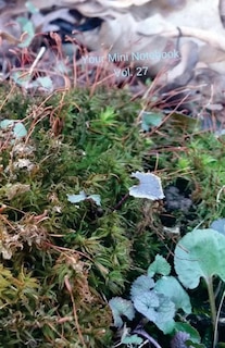 Front cover_Your Mini Notebook! Vol. 27