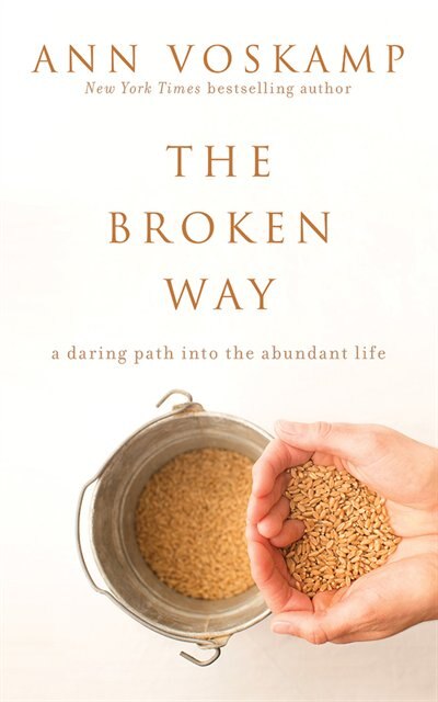 Couverture_The Broken Way