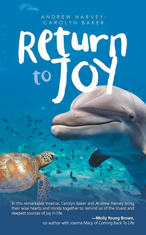 Couverture_Return to Joy