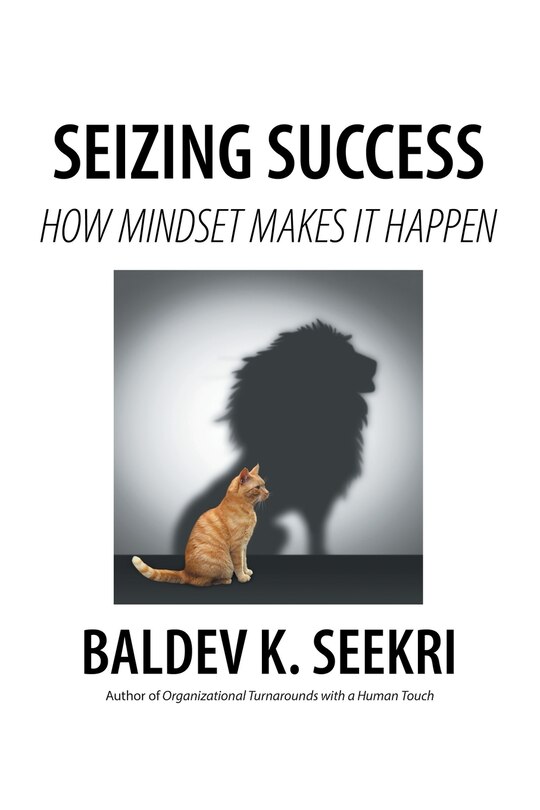 Front cover_Seizing Success