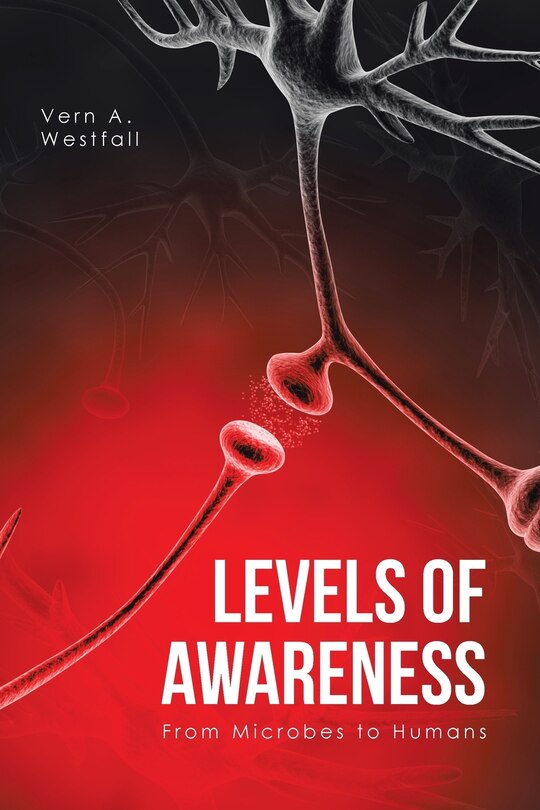 Couverture_Levels of Awareness