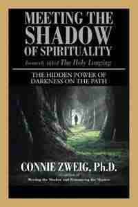 Meeting the Shadow of Spirituality: The Hidden Power of Darkness on the Path by Ph.D. Connie Zweig