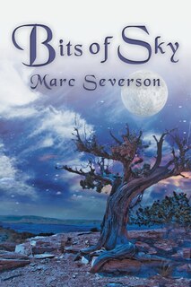Couverture_Bits of Sky
