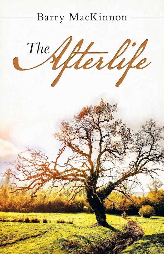 Front cover_The Afterlife