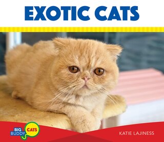 Front cover_Exotic Cats
