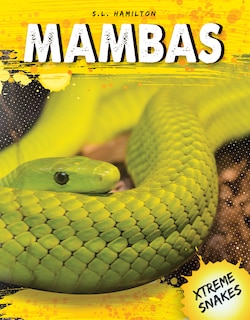 Couverture_Mambas
