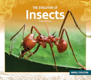 Couverture_The Evolution of Insects