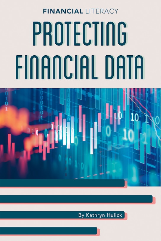 Front cover_Protecting Financial Data