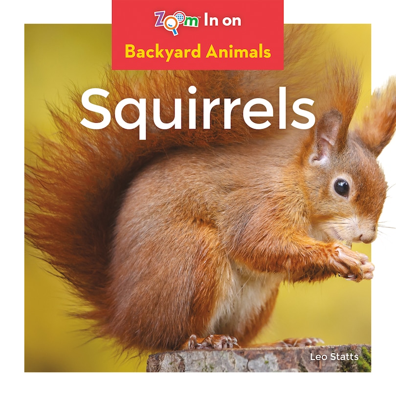 Squirrels