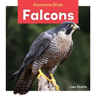 Couverture_Falcons