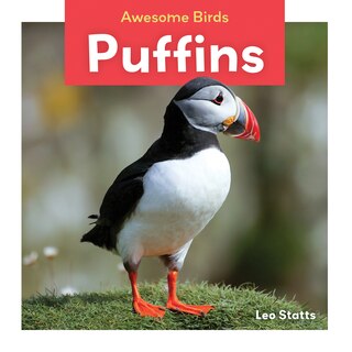 Couverture_Puffins