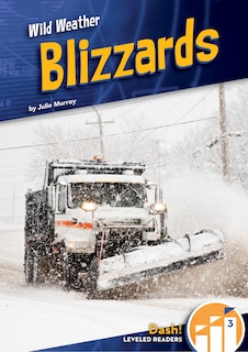 Front cover_Blizzards