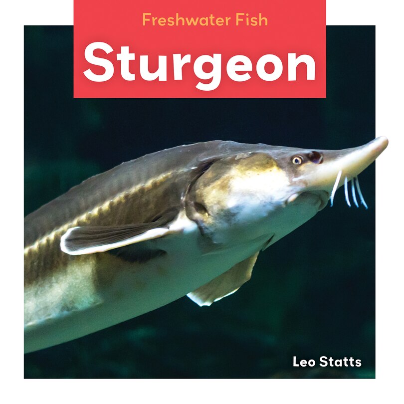 Couverture_Sturgeon