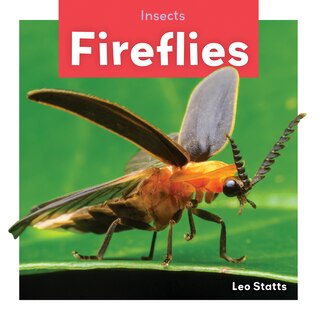 Couverture_Fireflies