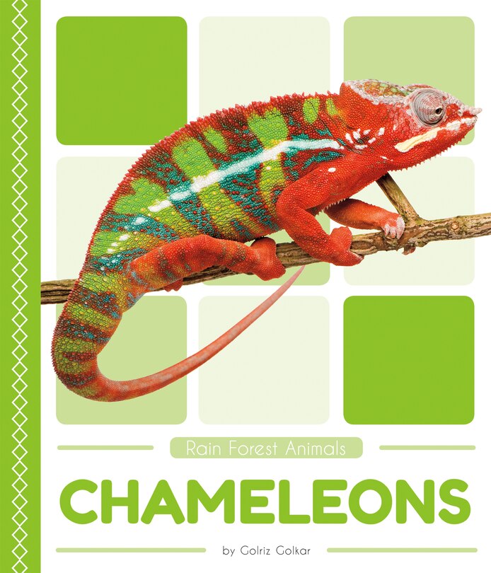 Front cover_Chameleons