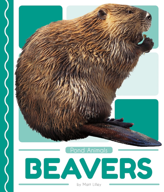 Front cover_Beavers