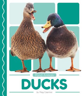 Couverture_Ducks