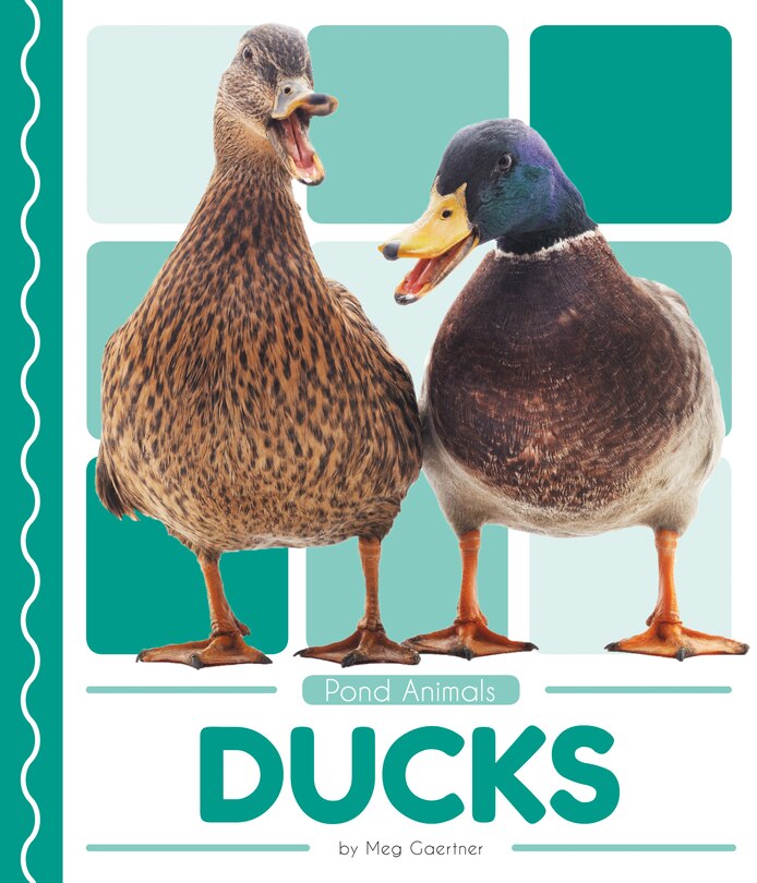 Couverture_Ducks