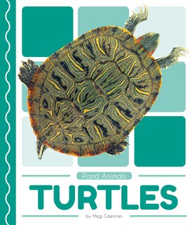 Front cover_Turtles