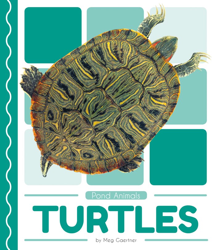 Front cover_Turtles