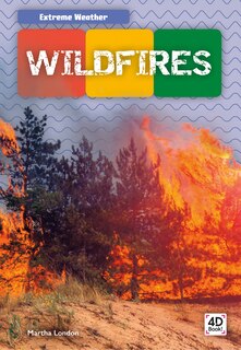 Couverture_Wildfires