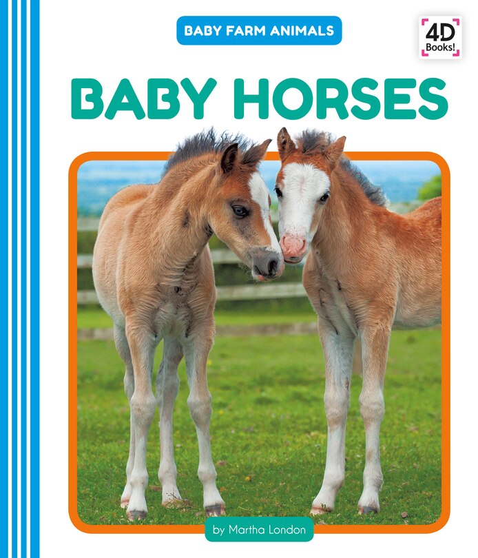 Front cover_Baby Horses