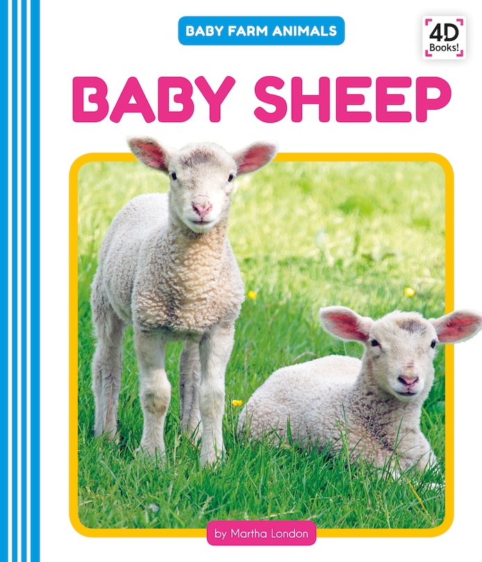 Front cover_Baby Sheep