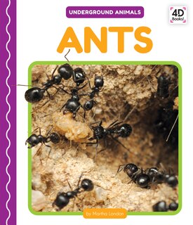 Front cover_Ants