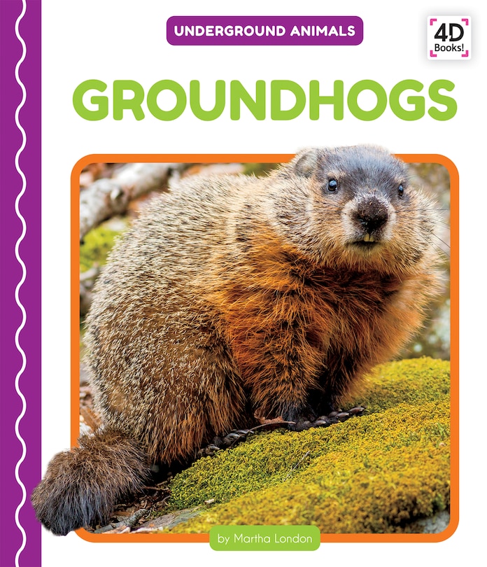 Couverture_Groundhogs