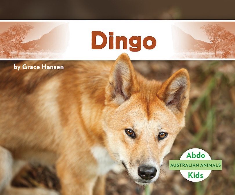 Couverture_Dingo