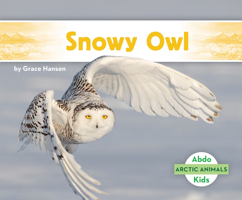 Front cover_Snowy Owl