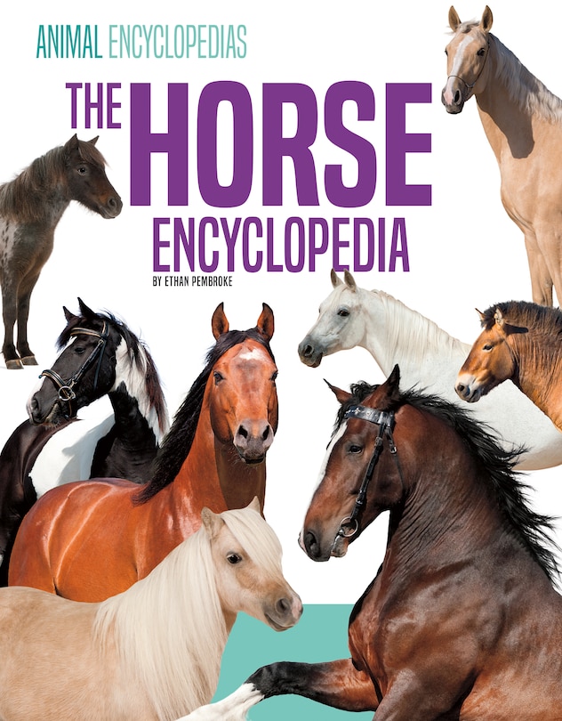 Couverture_Horse Encyclopedia