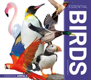 Couverture_Essential Birds