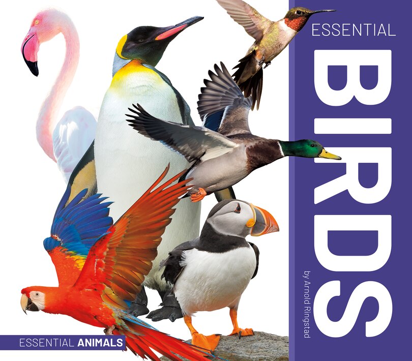 Couverture_Essential Birds