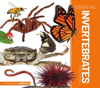 Front cover_Essential Invertebrates