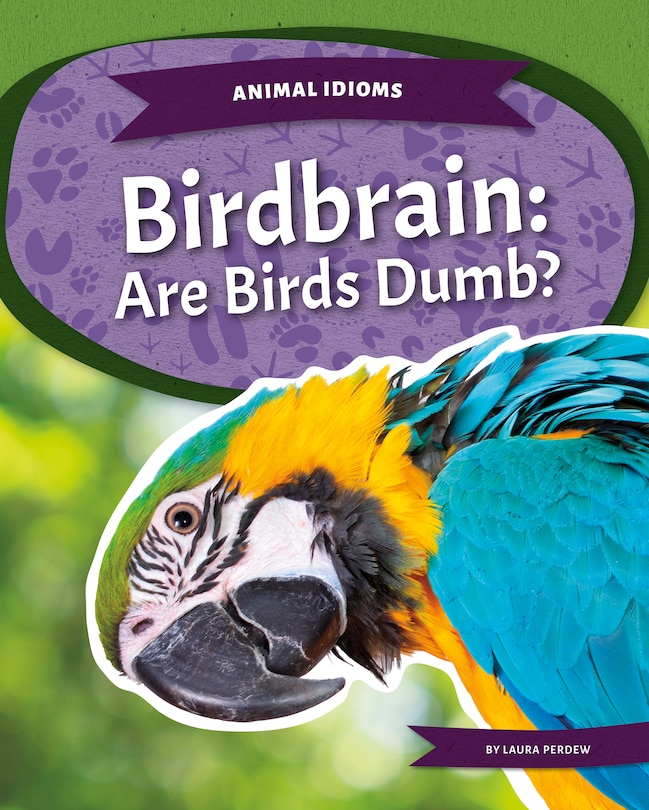 Front cover_Birdbrain: Are Birds Dumb?