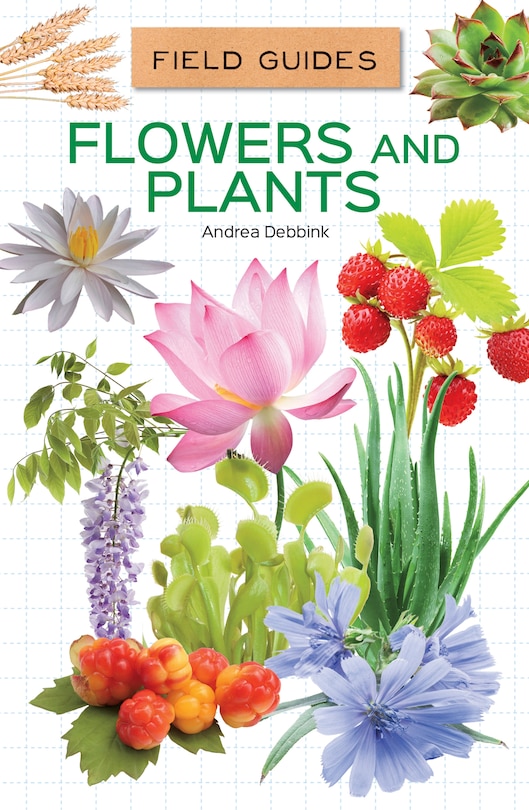 Couverture_Flowers and Plants