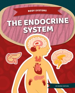 Couverture_The Endocrine System
