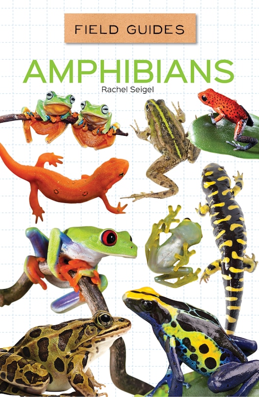 Couverture_Amphibians