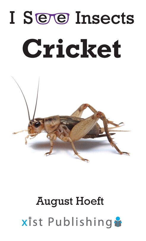 Couverture_Cricket