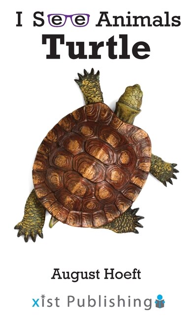 Couverture_Turtle