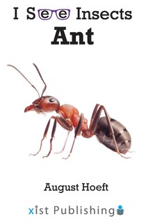 Couverture_Ant