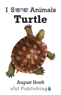 Couverture_Turtle