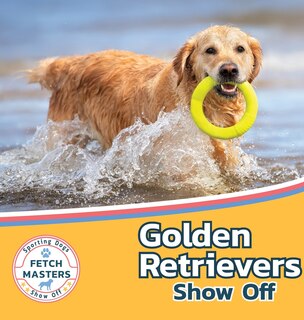 Front cover_Golden Retrievers Show Off