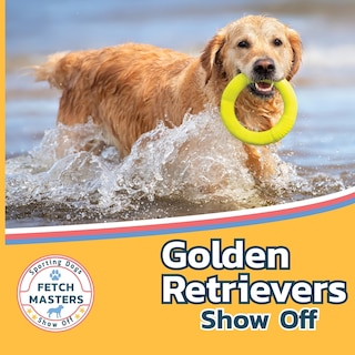 Couverture_Golden Retrievers Show Off