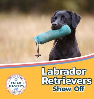 Couverture_Labrador Retrievers Show Off