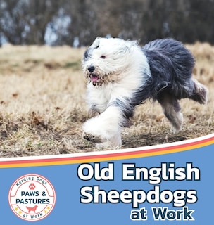 Couverture_Old English Sheepdogs at Work